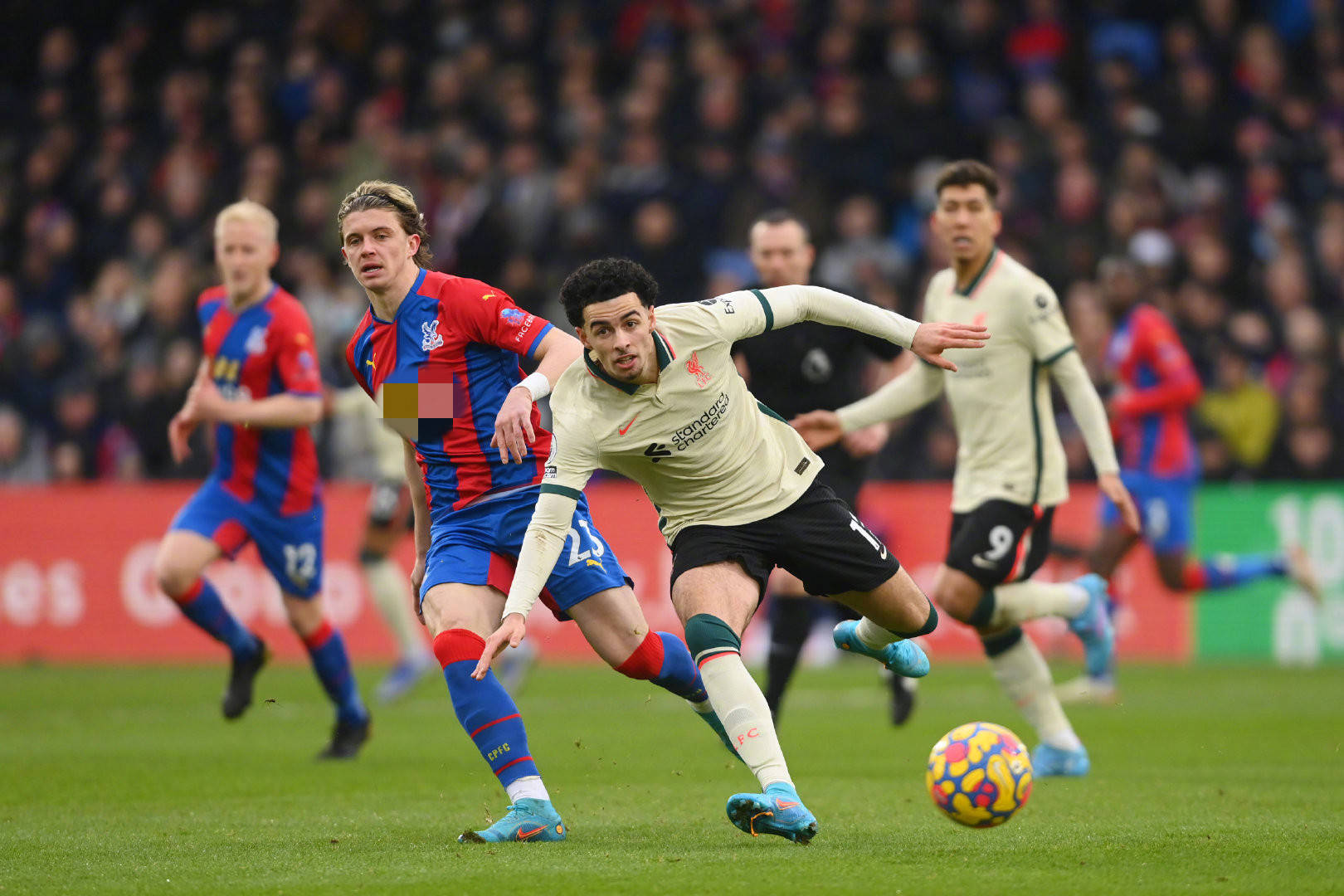 新秀赛季即 新秀赛季即